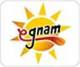 Egnam.it
